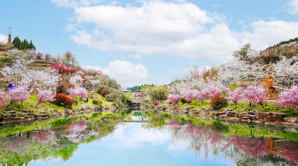 �����^���ѻ��ȃȻ��`�� �L�������®���