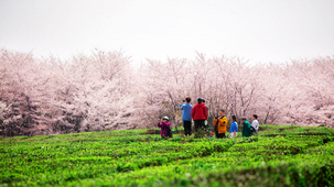 �F���ѻ��@���ο��^�p�ѻ�