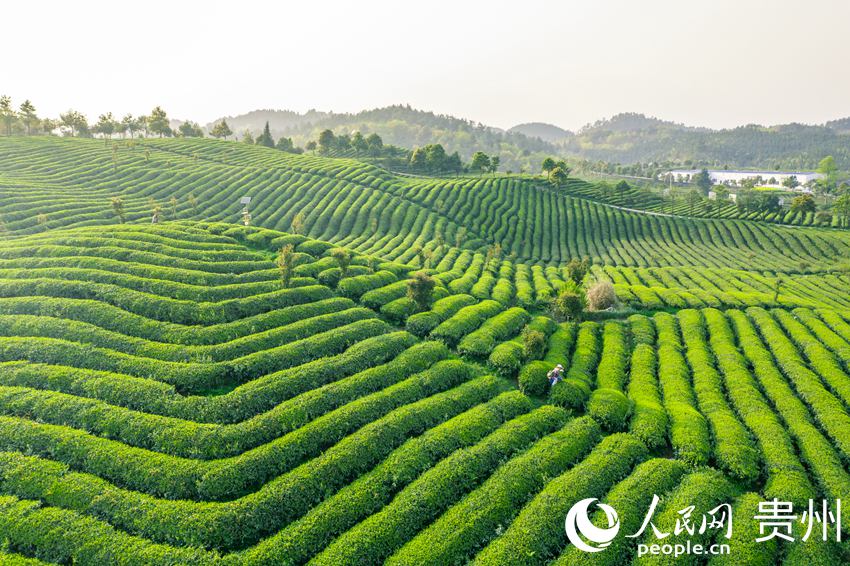 �����_ꖿh����悉��Ӵ���ؕ�����B��@������W Ϳ���z