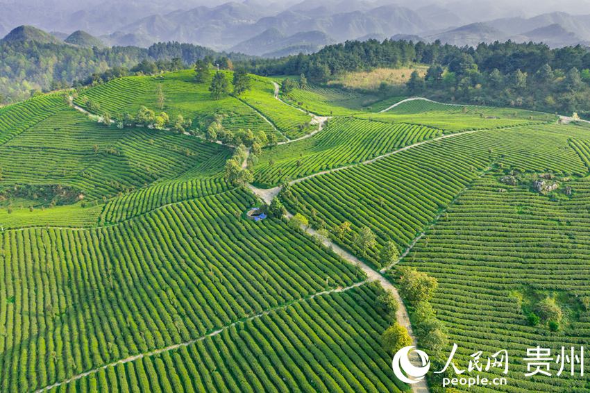 �����_(k��i)�(y��ng)�h�����(zh��n)���Ӵ���ؕ�����B(t��i)��@������W(w��ng) Ϳ���z