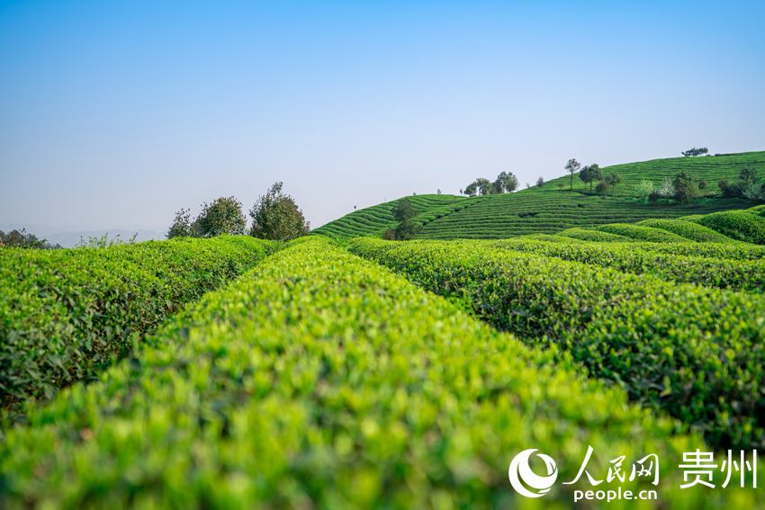 �_ꖿh����悉��Ӵ���ؕ�����B��@������W Ϳ���z