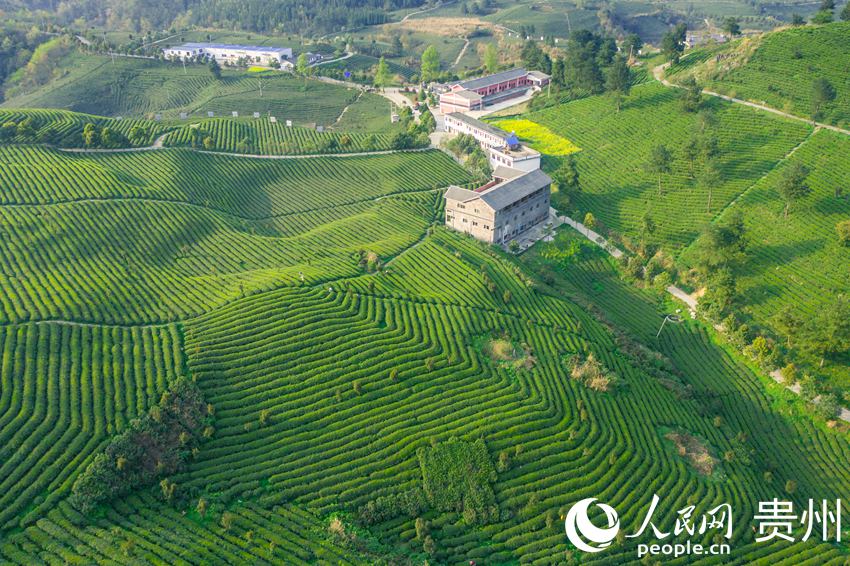 �����_ꖿh�����(zh��n)���Ӵ���ؕ�����B(t��i)��@������W(w��ng) �w�o�z