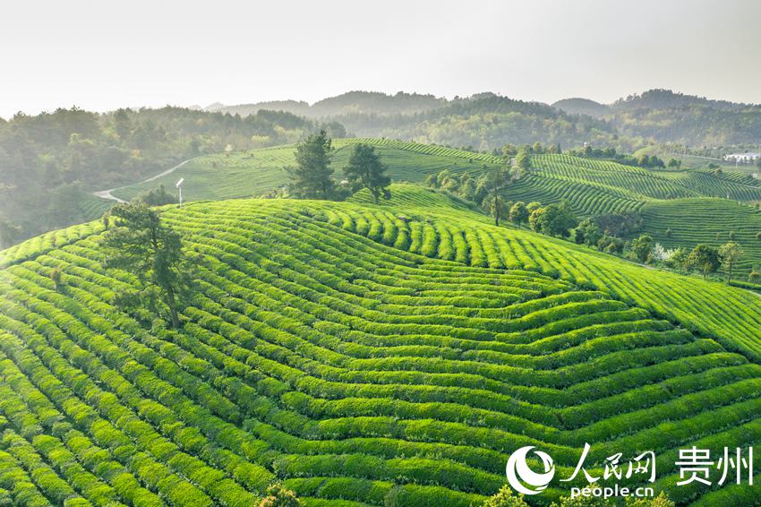 �����_ꖿh����悉��Ӵ���ؕ�����B��@������W �w�o�z