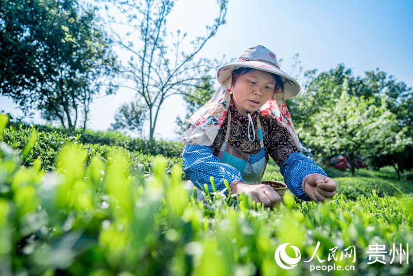 ���r��ժ���~������W Ϳ���z