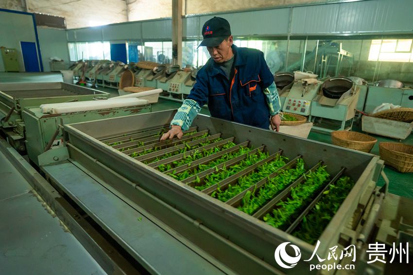 ������ժ���Ĳ��������M�К���ӹ�������W Ϳ���z