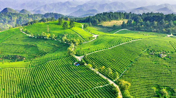 �F���_ꖣ���������ѿ ���r�ɲ�æ