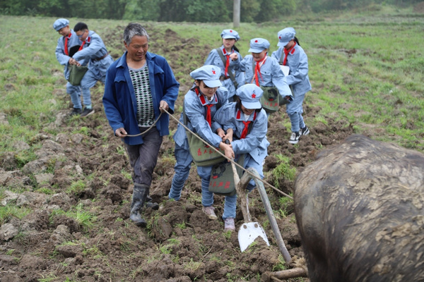 �^Ħ���H���w����g�r��������