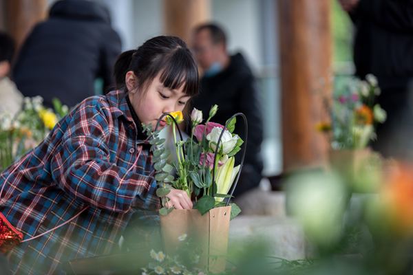 ����F���w�宋��