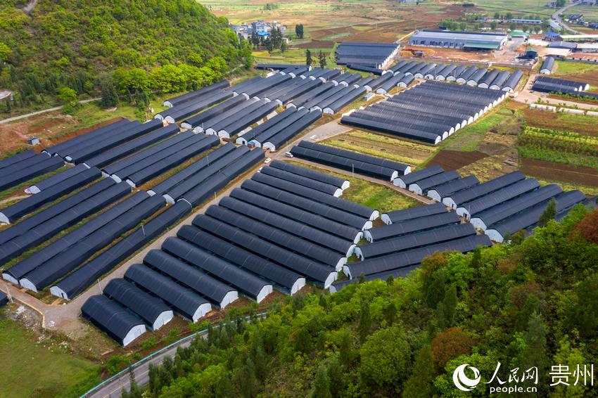 �����F��ʡ�d�x�����V悼{�Ҵ�|�����f����ؚ�㹽�Nֲ���ء�����W Ϳ���z