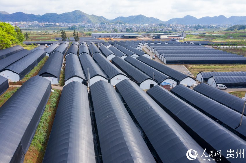 �����F��ʡ�d�x�����V�(zh��n)�{�Ҵ�|�����f(xi��)����ؚ�㹽�Nֲ���ء�����W(w��ng) Ϳ���z