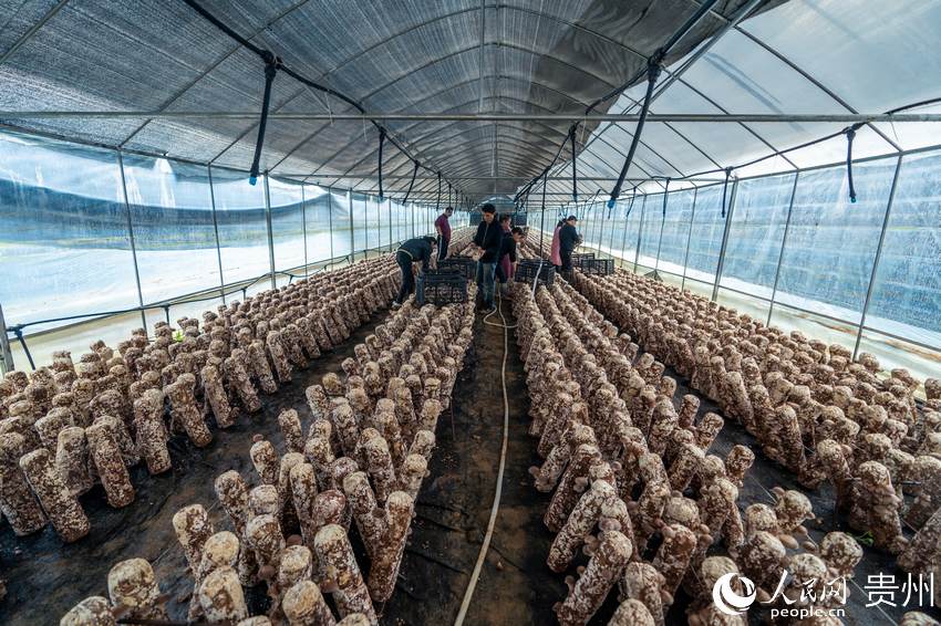 �׵ذ��w�Nֲ�����㹽����Ȳ����㹽������W Ϳ���z