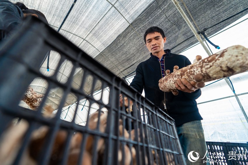 �׵ذ��w�Nֲ���fԪ���ڴ����(n��i)�����㹽������W(w��ng) Ϳ���z