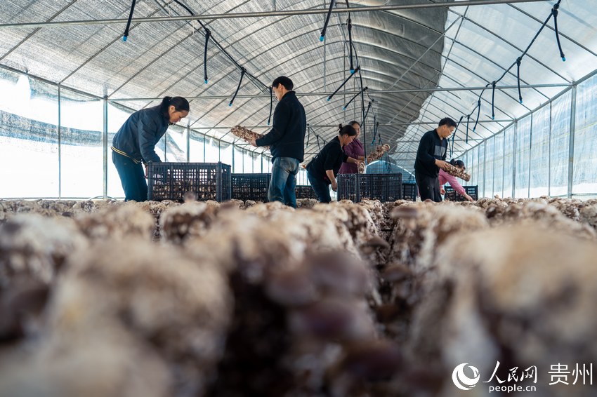 �׵ذ��w�Nֲ�����㹽����Ȳ����㹽������W Ϳ���z