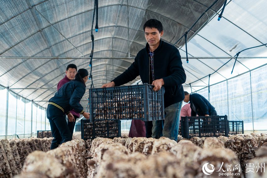 �׵ذ��w�Nֲ���fԪ���ڴ����(n��i)�����㹽������W(w��ng) Ϳ���z