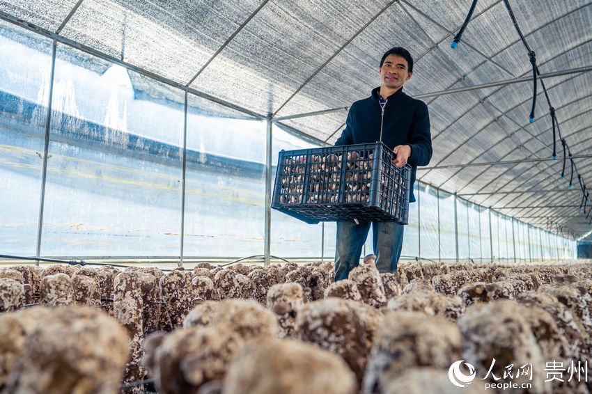 �׵ذ��w�Nֲ���fԪ�������������㹽�������Q�غ󽻽o�yһ��ُ��I���N������W Ϳ���z