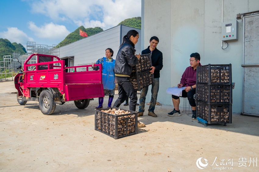 �fԪ�������������㹽�Q�س��ۡ�����W Ϳ���z