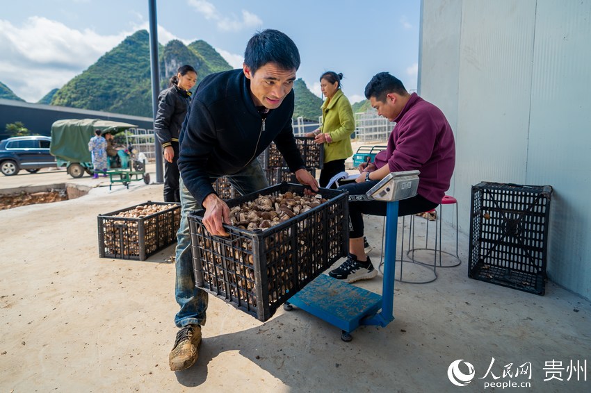 ���յ��㹽�Q�ء�����W Ϳ���z