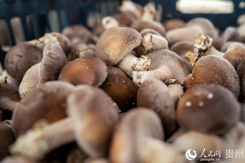 ���յ��㹽������W(w��ng) Ϳ���z