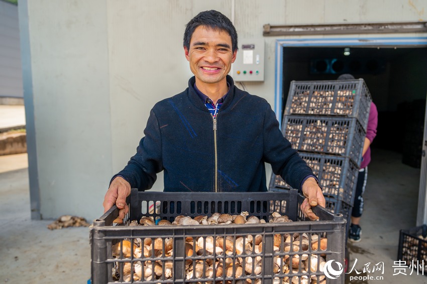 �fԪ��չʾ���յ��㹽������W Ϳ���z