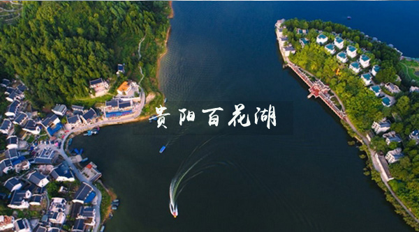 �ٻ����L(f��ng)��