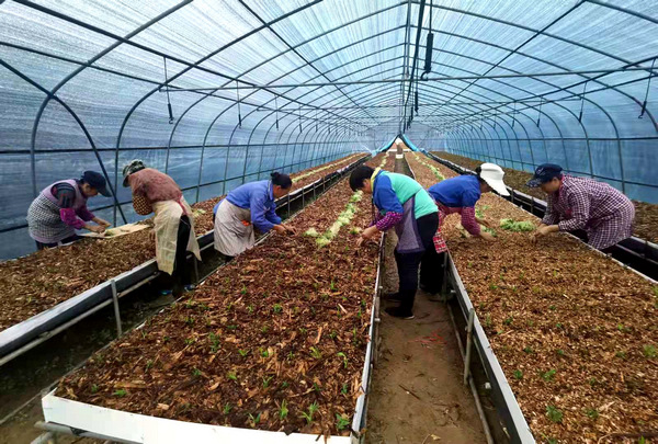 ����(zh��n)�v��ɲ��M��Ⱥ���ڻ��؄�(w��)�����_�ػ��z