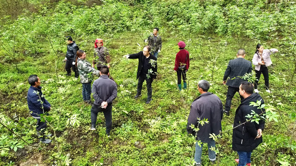 �غӿh�r(n��ng)�I(y��)���ҵ����g���^�M�м��g(sh��)ָ��(d��o)�� �����(qu��n)�z