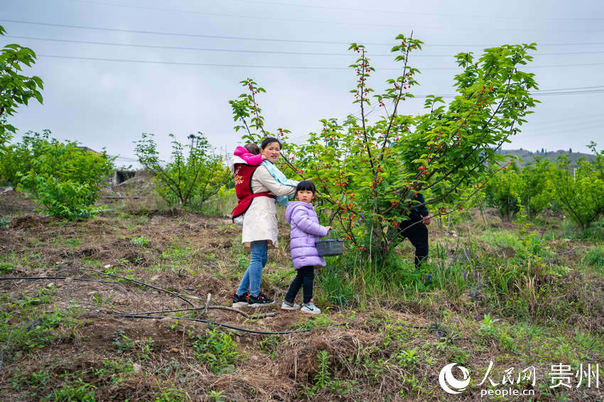 �ο��ڈ@�Ȳ�ժ���ҡ�����W Ϳ���z