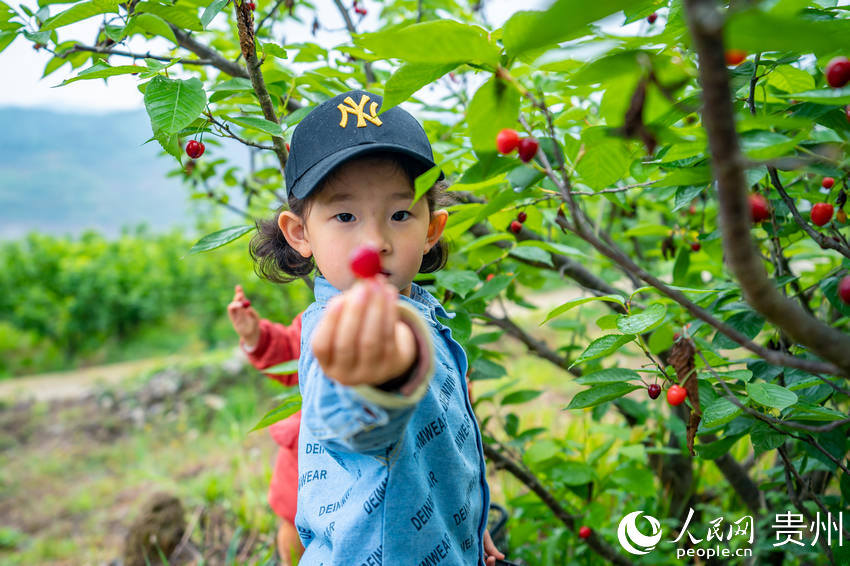 С����չʾ��ժ���ę��ҡ�����W(w��ng) Ϳ���z