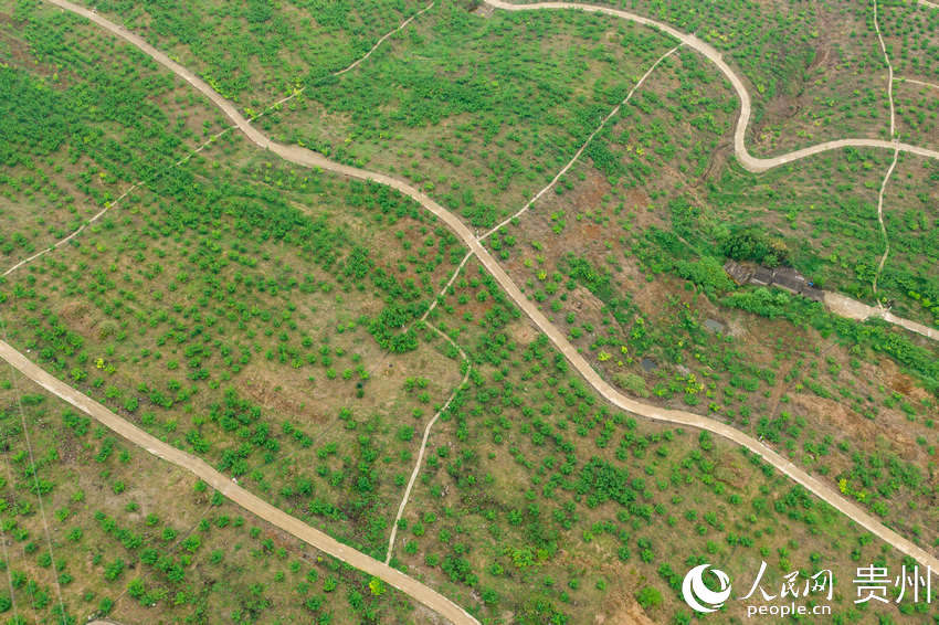 ����֧�°��������Ҳ�ժ�^��@������W Ϳ���z