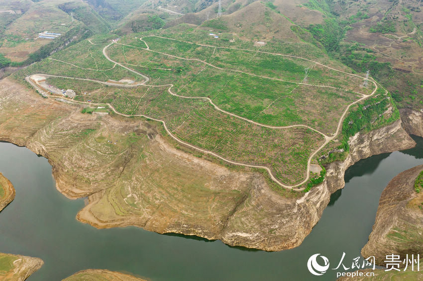 ����֧�°��������Ҳ�ժ�^��@������W Ϳ���z