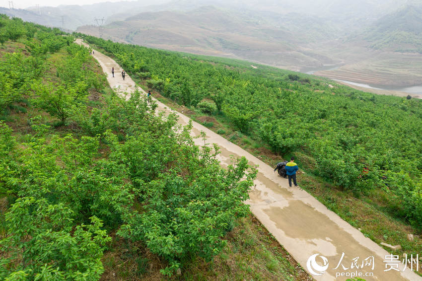 �ο��ڈ@���^�⡢��ժ���ҡ�����W Ϳ���z