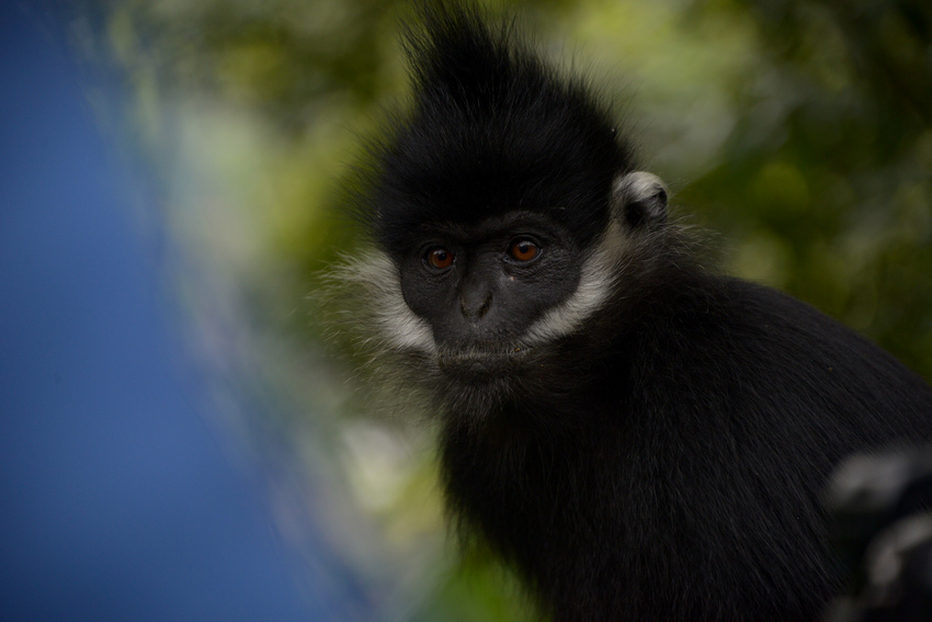 2021��4��17��������ꖺӇ��Ҽ�(j��)��Ȼ���o(h��)�^(q��)�������վ�Ĕz�ĺ��~���|�z