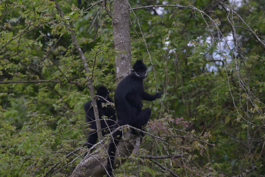 2021��4��17��������ꖺӇ��Ҽ���Ȼ���o�^�������վ�Ĕz�ĺ��~������|�z