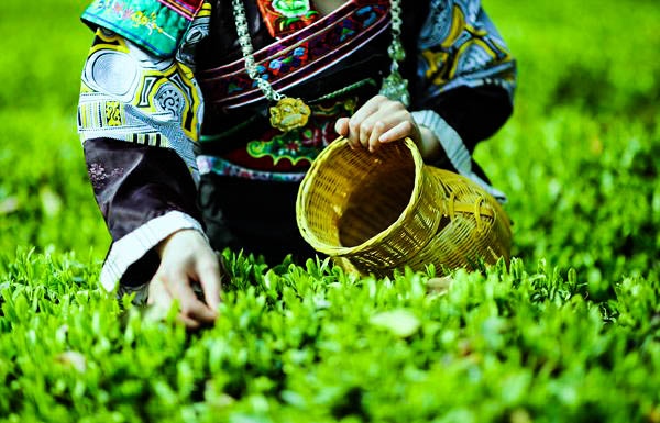 �ɲ衣 ��������ý�w���Ĺ��D