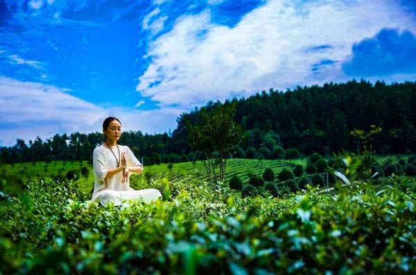 �P��������һ�w�����B��@�����\���z