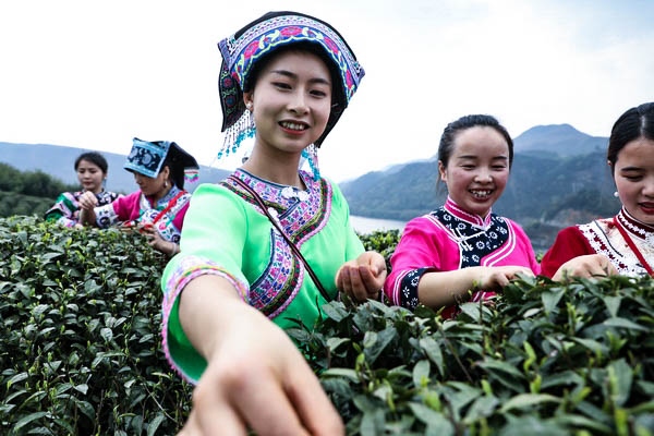 ����Ⱥ�����ڲɲ����S�Ɩ|�z