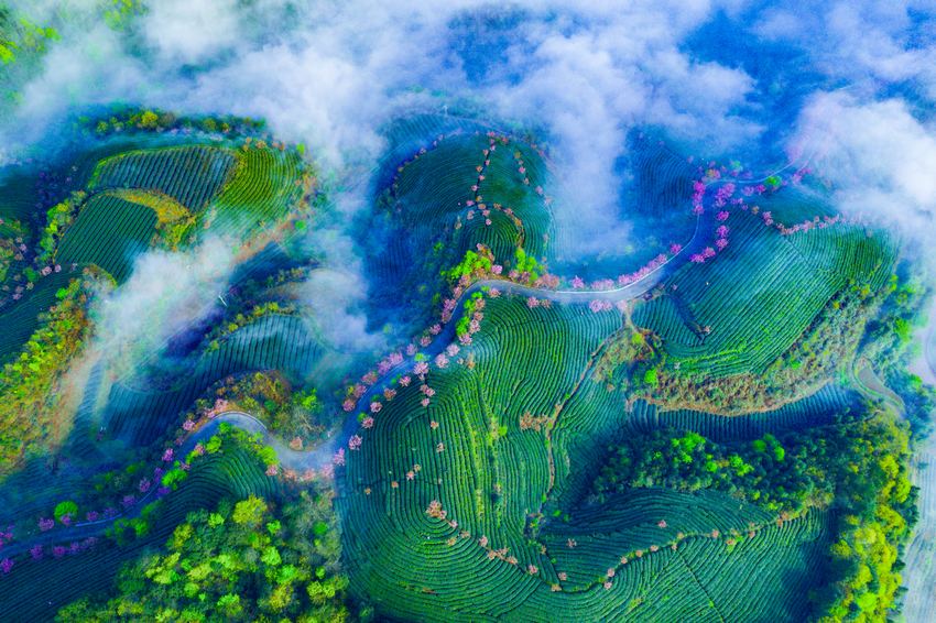 �����F����̶��ɽ�ѻ����B��@����ܔz