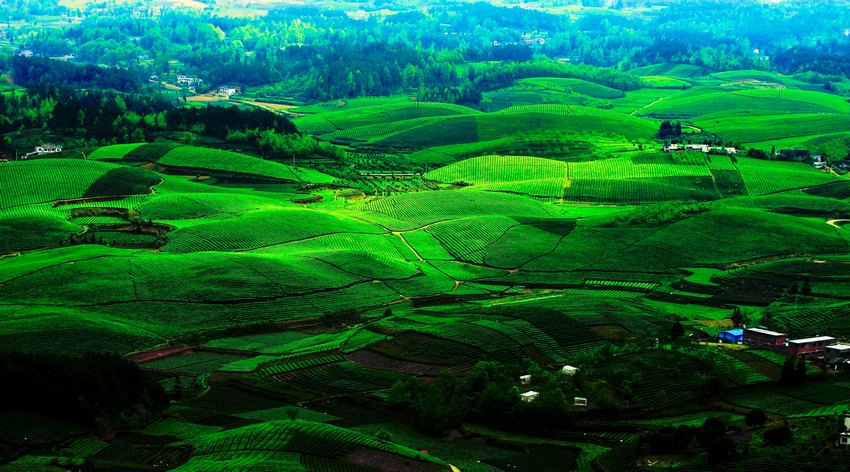 �F����̶�f���躣��ɫ�� ����z