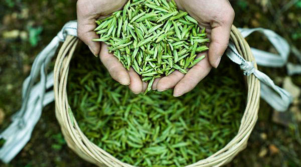 �F�ݣ����o�Ƀ�ǭ�� �����n����Ƭ