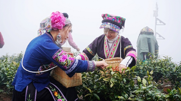 �հ���2000�������~һ̖�� �ж���@ȫ���_��