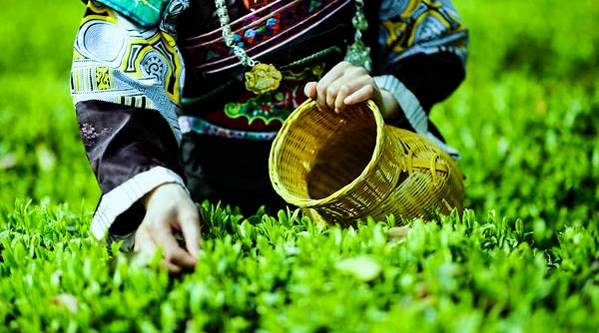 �F�ݣ��������h�� ���I�ָ��r