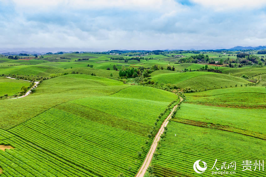 �����F����̶�f���躣������W Ϳ���z