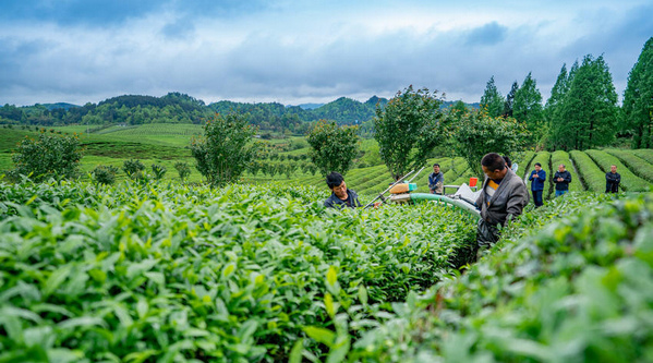 �F����̶���躣���B�� �����¸�·