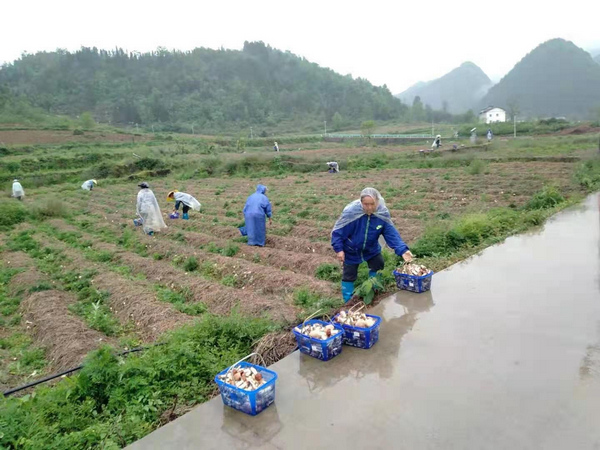 �ش��(zh��n)���Ĵ�ί���������u܊���M�����I(l��ng)���ϵ�Ⱥ��ð��ǰȥ�������ز���ʳ�þ������ϼ�z