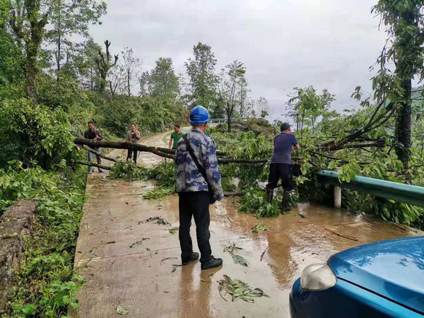 �S���ţ����^�h�T�ɲ��Ų顢����ͨ�M·�[�������s�z