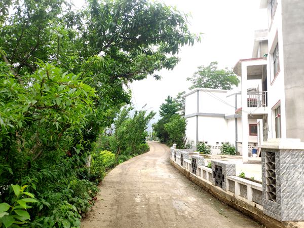 �Ƀ������Ĵ��ݡ�