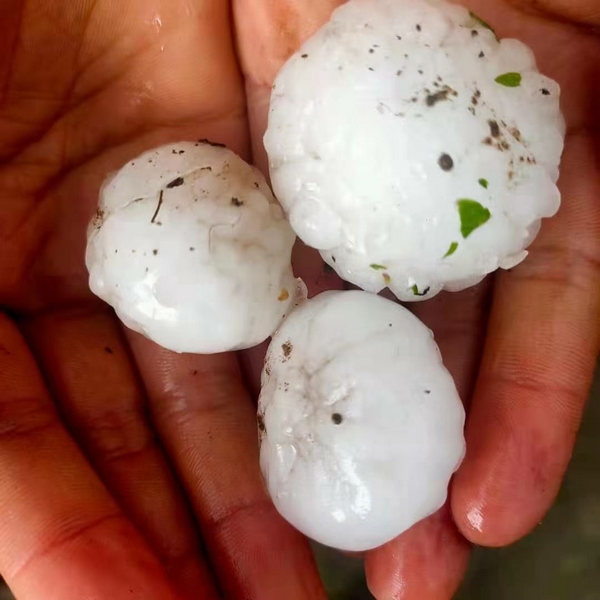 �����P(gu��n)�^(q��)���±�����