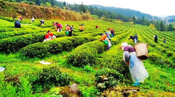 �l�����d֮���G��