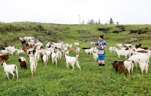 ����Ů����ï���z