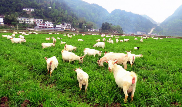 ɽ��a�I(y��)��